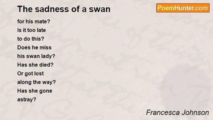 Francesca Johnson - The sadness of a swan