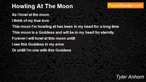 Tyler Anhorn - Howling At The Moon