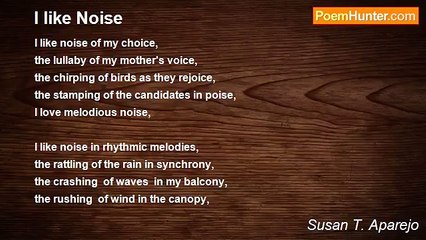 Susan T. Aparejo - I like Noise