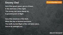david lessard - Snowy Owl