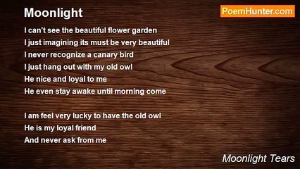 Moonlight Tears - Moonlight