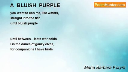 Maria Barbara Korynt - A  BLUISH  PURPLE