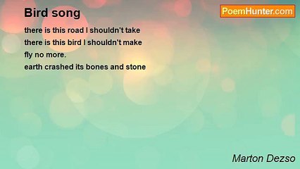Marton Dezso - Bird song