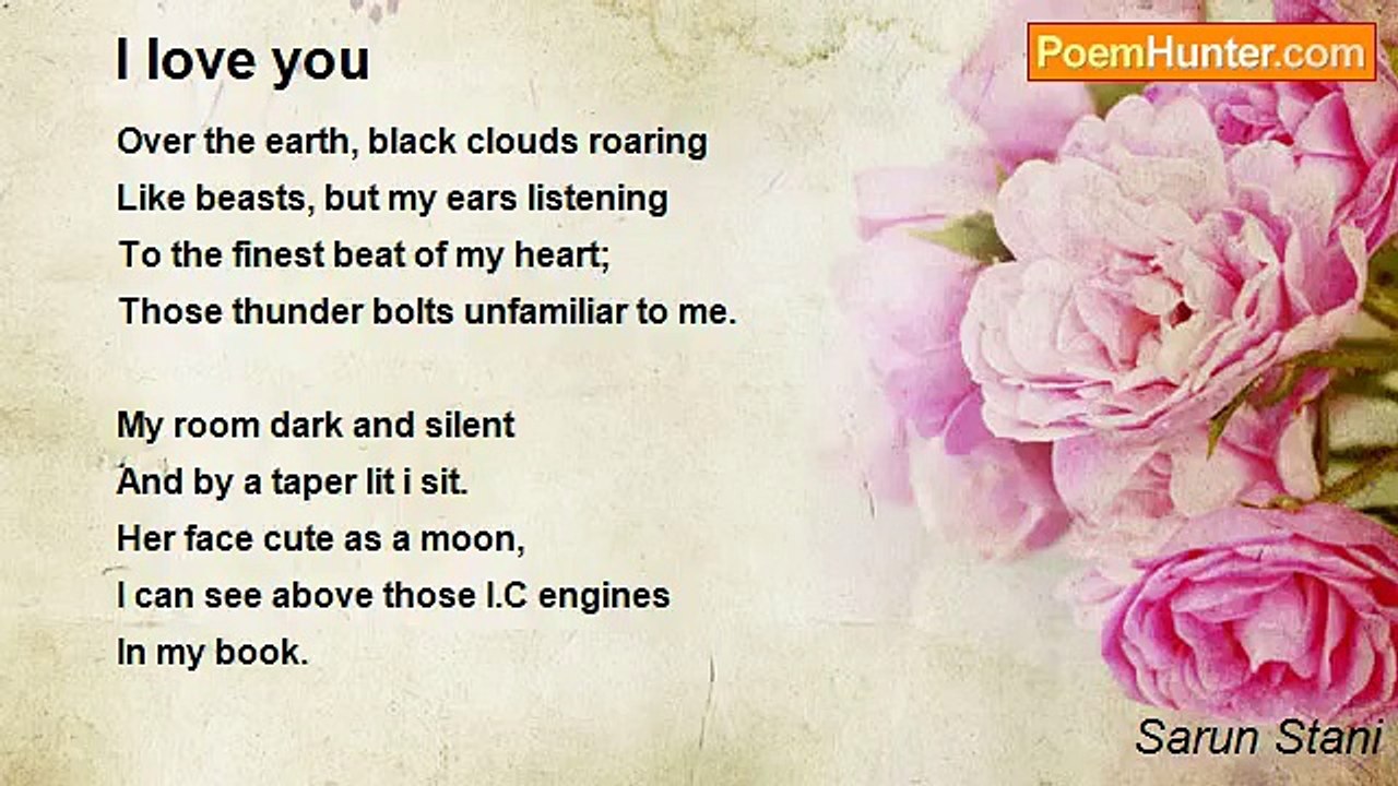 Sarun Stani - I love you