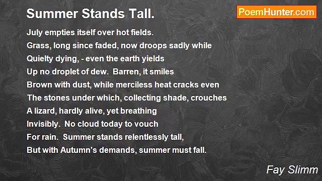 Fay Slimm - Summer Stands Tall.