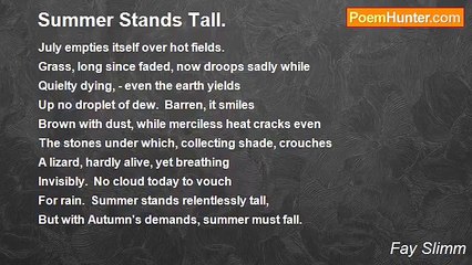 Fay Slimm - Summer Stands Tall.