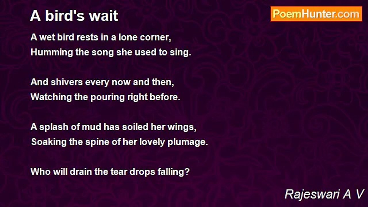 Rajeswari A V - A bird's wait