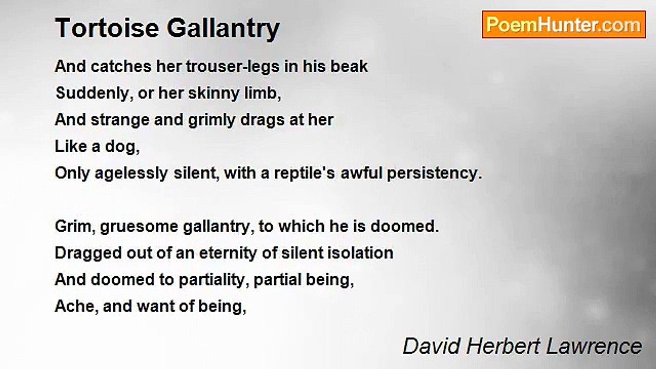 David Herbert Lawrence - Tortoise Gallantry