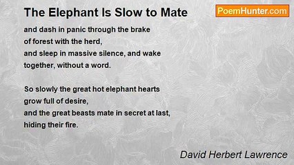 David Herbert Lawrence - The Elephant Is Slow to Mate