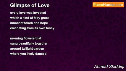 Ahmad Shiddiqi - Glimpse of Love