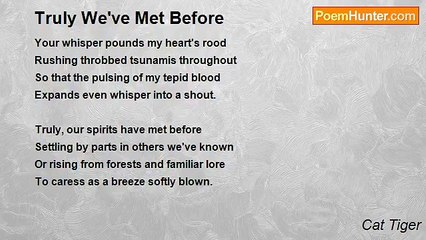 Cat Tiger - Truly We've Met Before