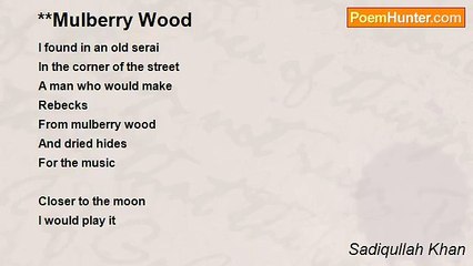Sadiqullah Khan - **Mulberry Wood