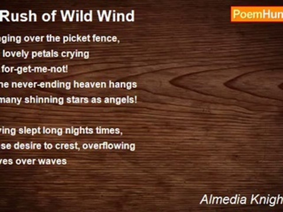 Almedia Knight Oliver - A Rush of Wild Wind