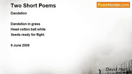 David Harris - Two Short Poems