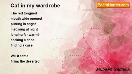 Mubeen Sadhika - Cat in my wardrobe