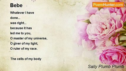 Sally Plumb Plumb - Bebe