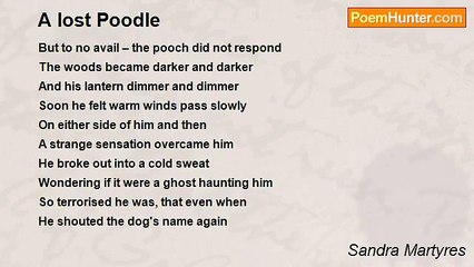 Sandra Martyres - A lost Poodle