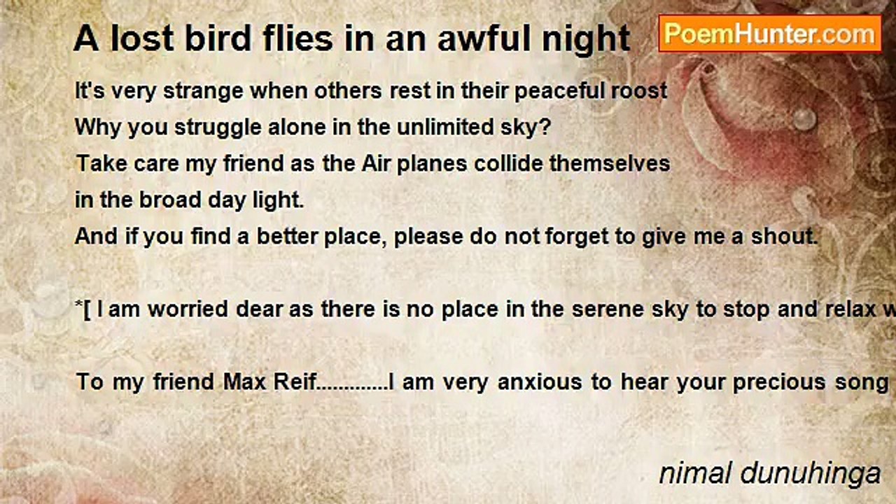 nimal dunuhinga - A lost bird flies in an awful night