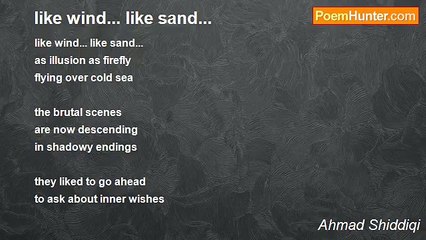 Ahmad Shiddiqi - like wind... like sand...