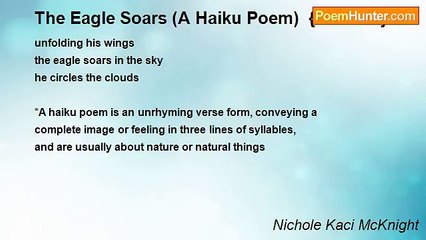Nichole Kaci McKnight - The Eagle Soars (A Haiku Poem)  {Revised}