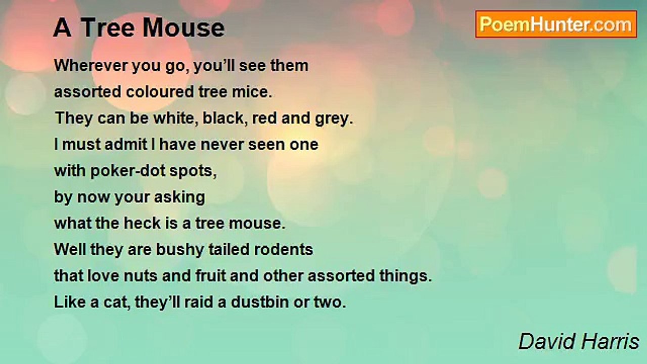 David Harris - A Tree Mouse