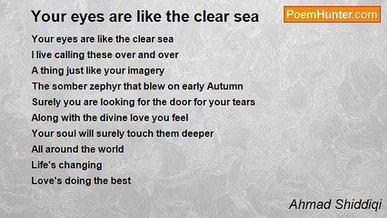 Ahmad Shiddiqi - Your eyes are like the clear sea
