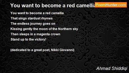 Ahmad Shiddiqi - You want to become a red camellia