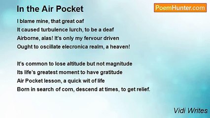 Vidi Writes - In the Air Pocket