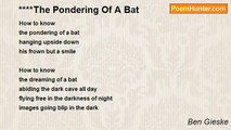 Ben Gieske - ****The Pondering Of A Bat