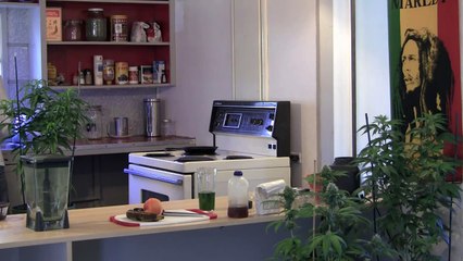 Juicing Fresh Raw Marijuana