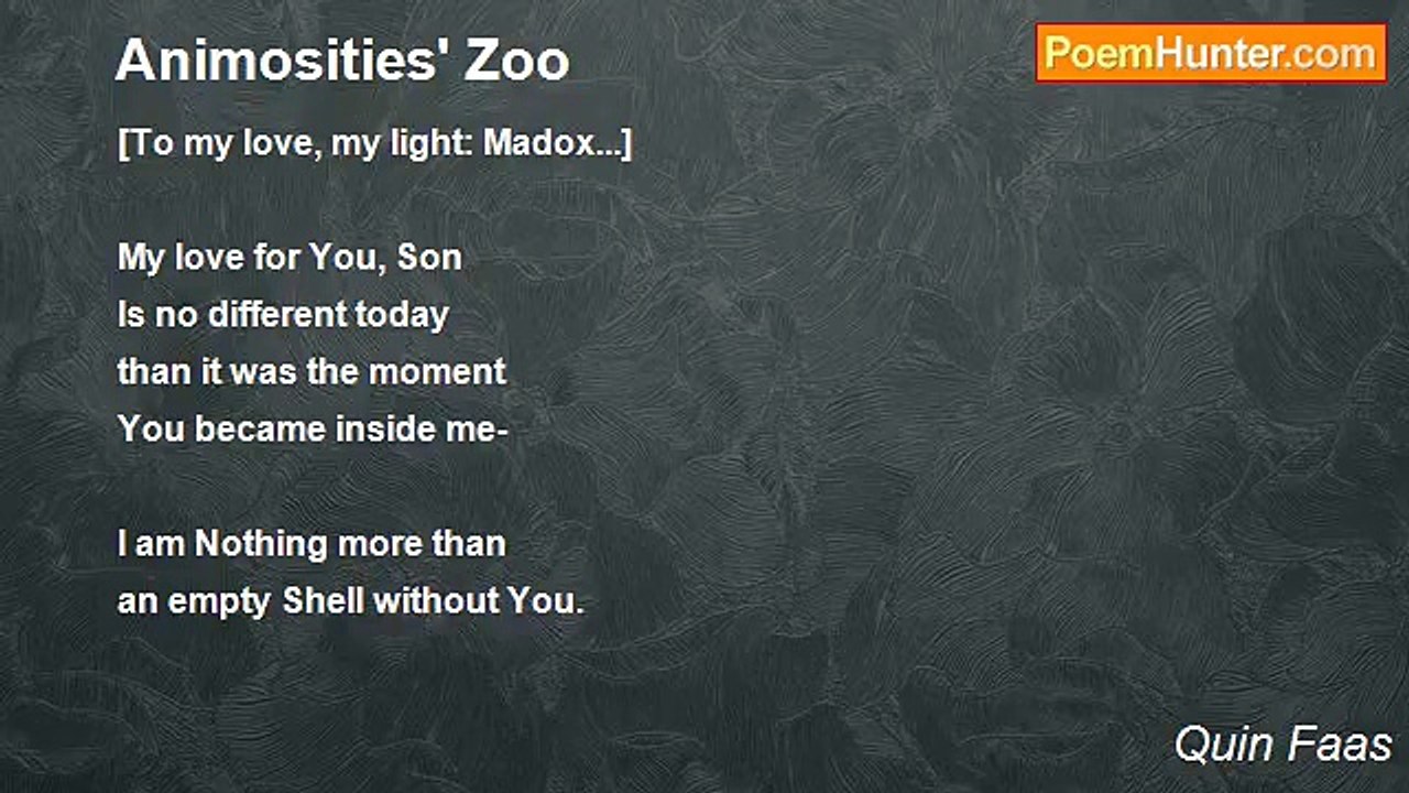 Quin Faas - Animosities' Zoo