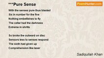 Sadiqullah Khan - ***Pure Sense