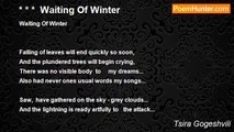 Tsira Gogeshvili - * * *  Waiting Of Winter