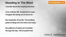 Chris G. Vaillancourt - Standing In The Wind