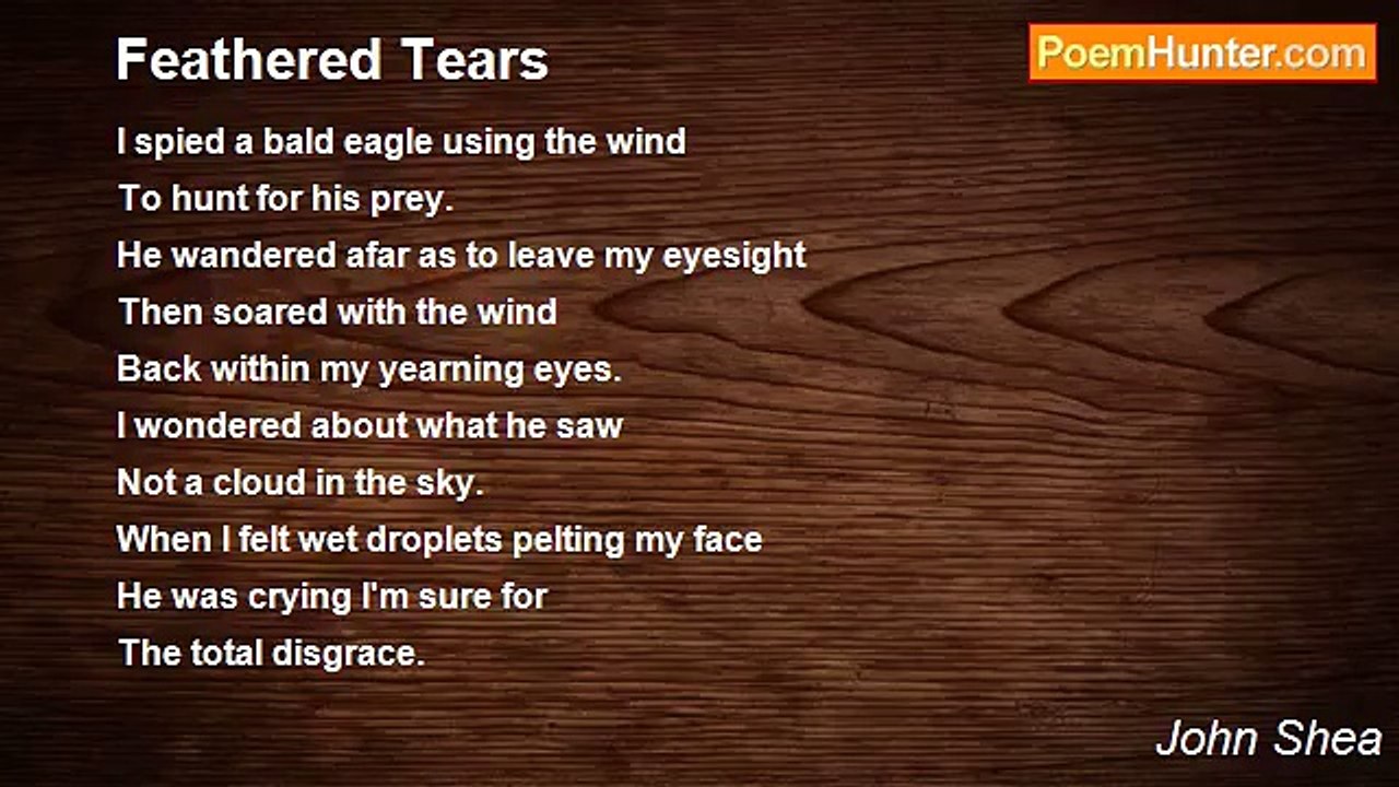 John Shea - Feathered Tears