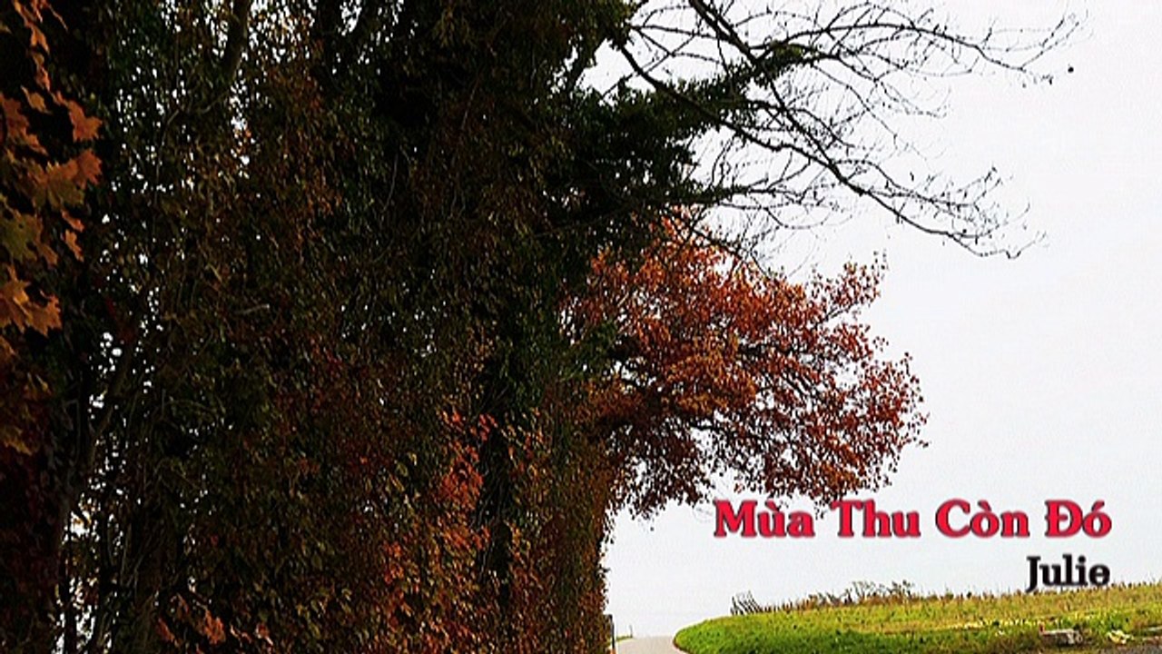 Mùa Thu Còn Đó