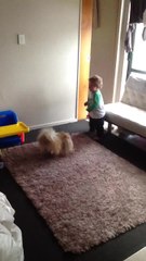 Excited dog wants to play with baby