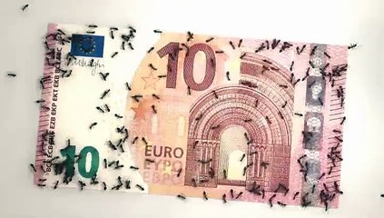 "Anarchy", épisode 2