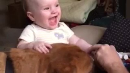 Dog makes baby laugh hysterically