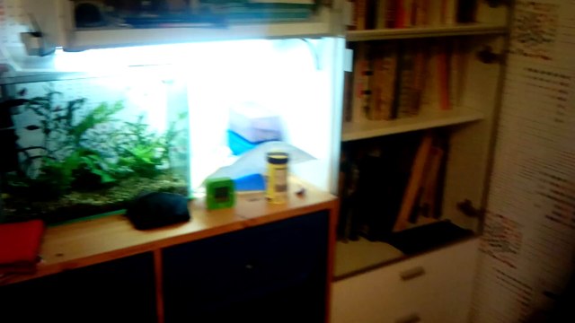 Wexler.TAB 8q, тест камеры - музыка