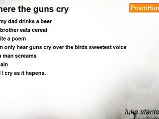 luke stanley owen - where the guns cry