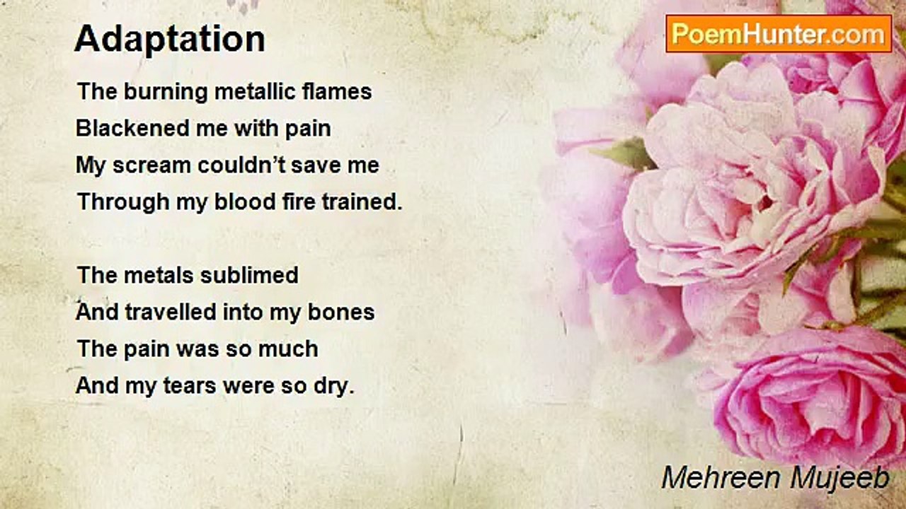 Mehreen Mujeeb - Adaptation