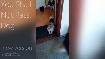 [+18 ~ Sexy Funny Girl]Pranks - Gags - Win - Fail.262