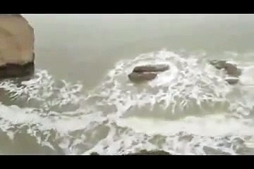 sirena capturada en video real mermaid caught on tape