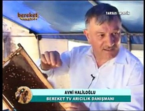 Arı Sütü - Arı Sütü (Royal jelly) Nedir Nasıl Üretilir- 6. Bölüm