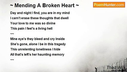Thad Wilk - ~ Mending A Broken Heart ~