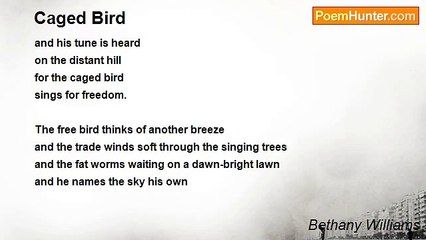 Bethany Williams - Caged Bird