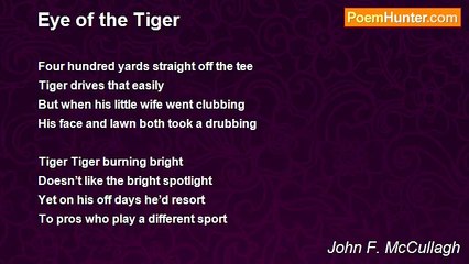 John F. McCullagh - Eye of the Tiger