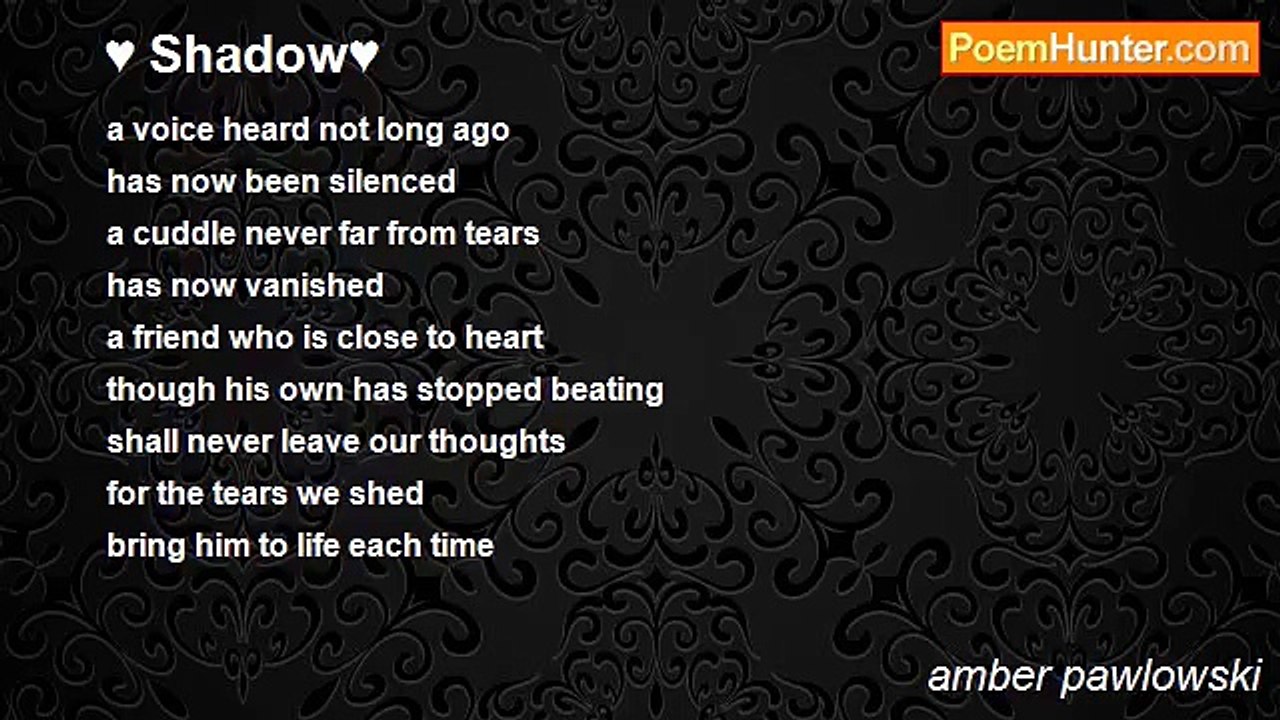 amber pawlowski - ♥ Shadow♥