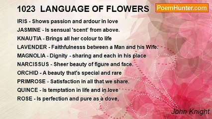 John Knight - 1023  LANGUAGE OF FLOWERS